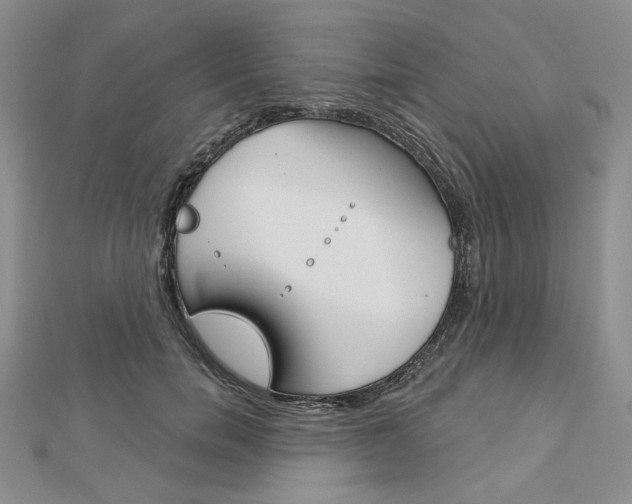X0000113060750200908280947