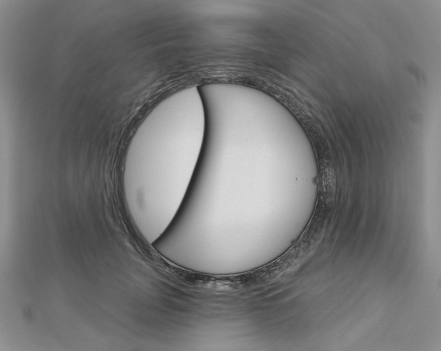 X0000113060751200908280947