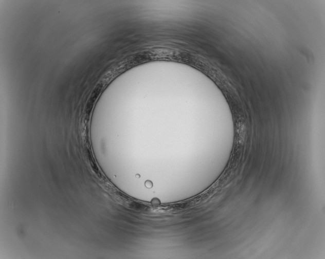 X0000113060753200908280947