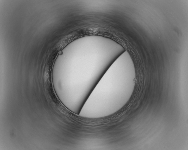 X0000113060754200908280947
