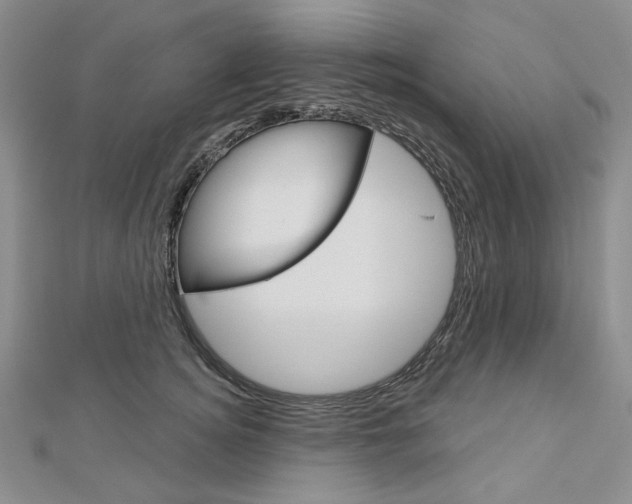 X0000113060756200908280947