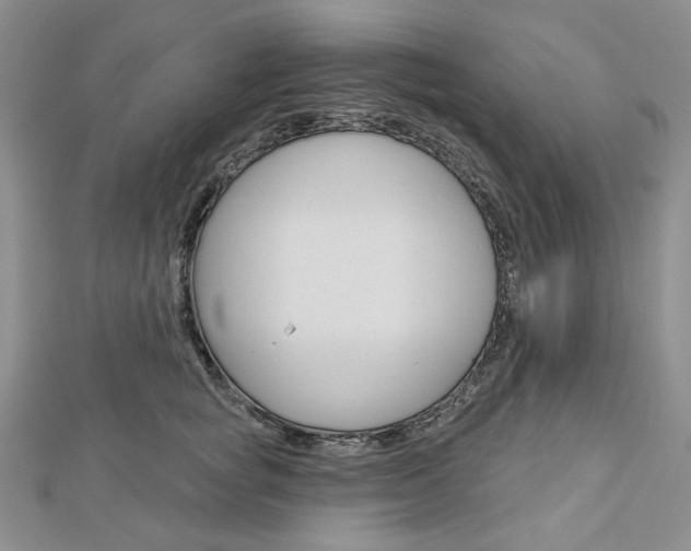 X0000113060757200908280947