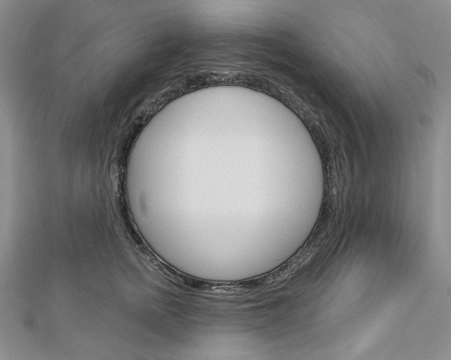 X0000113060758200908280947