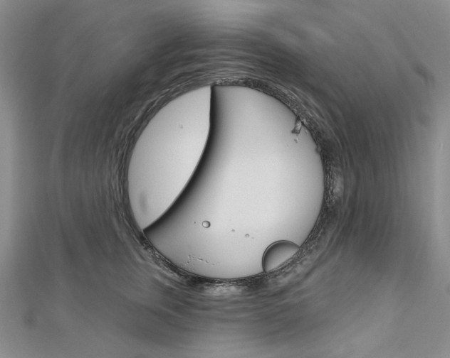 X0000113060759200908280947