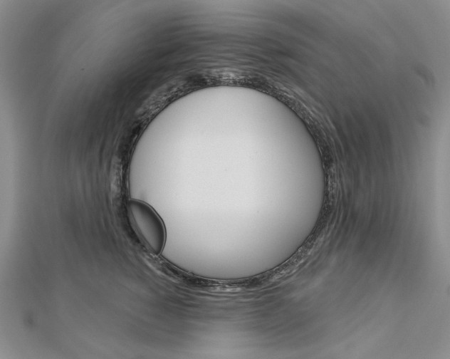 X0000113060760200908280947