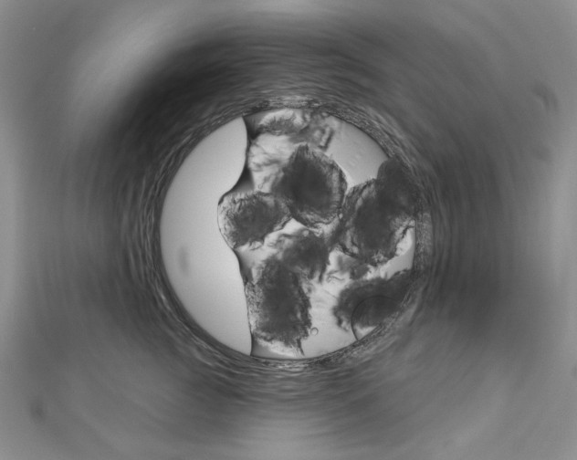 X0000113060761200908280947