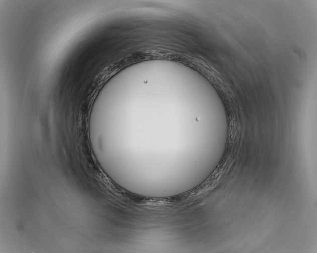 X0000113060762200908280947