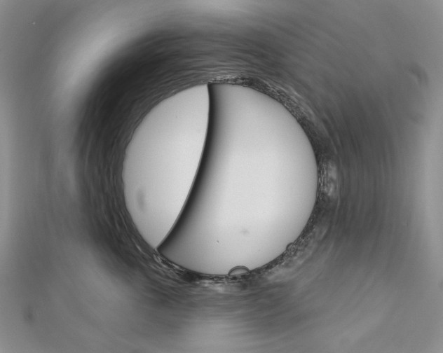X0000113060763200908280947