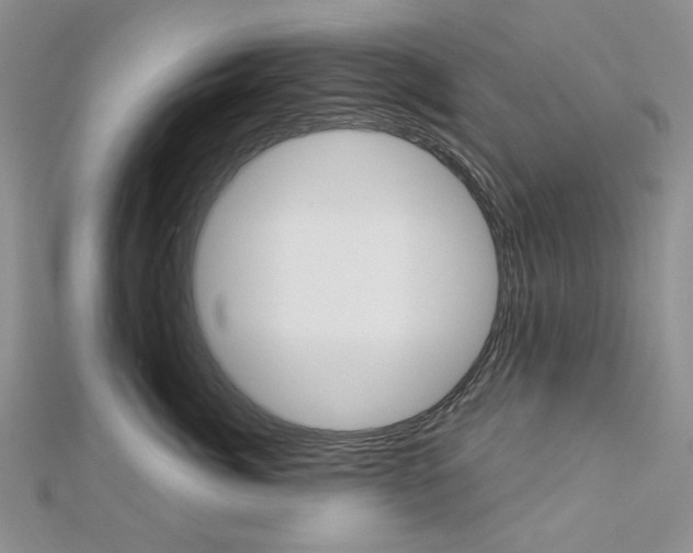 X0000113060764200908280947