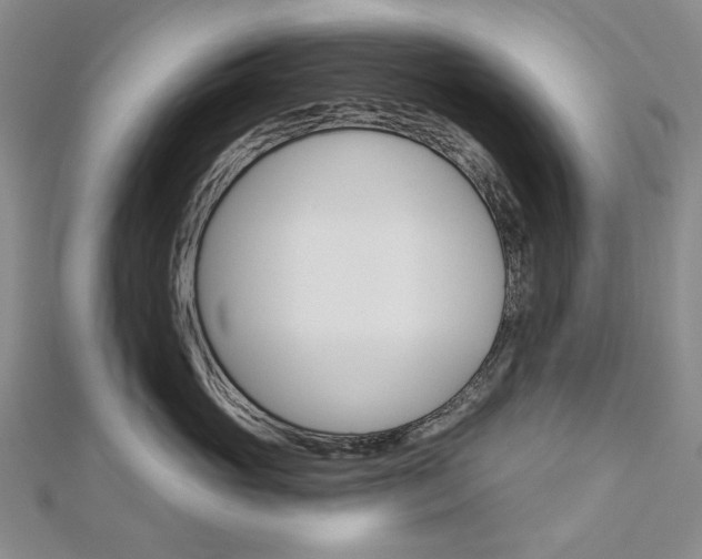 X0000113060765200908280947