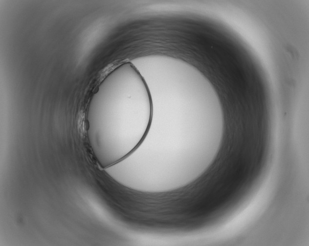 X0000113060766200908280947