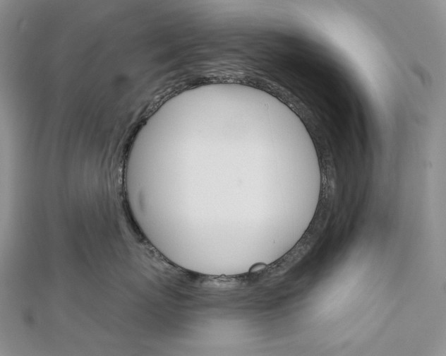 X0000113060767200908280947
