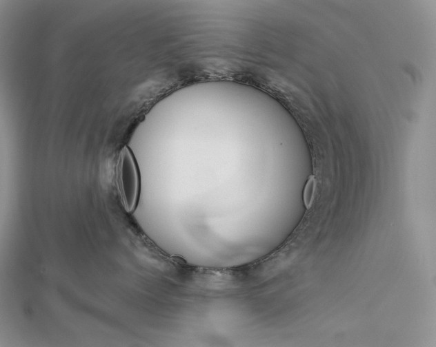 X0000113060768200908280947