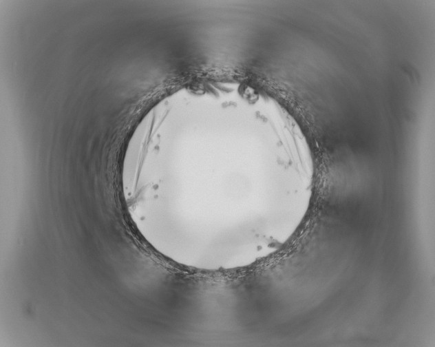 X0000113060769200908280947