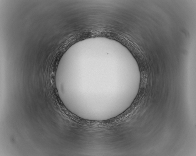 X0000113060770200908280947