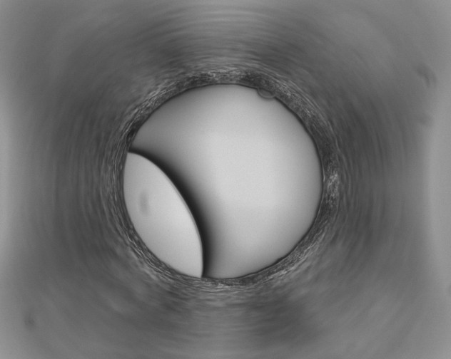 X0000113060772200908280947