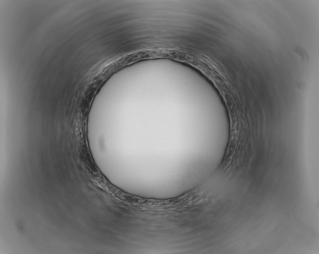 X0000113060773200908280947