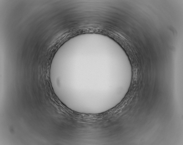 X0000113060774200908280947
