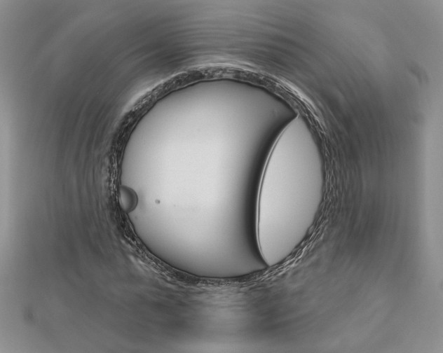 X0000113060775200908280947
