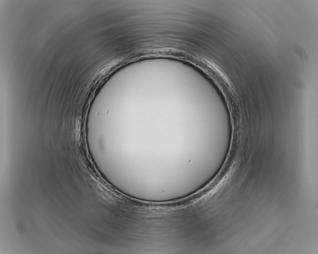 X0000113060777200908280947