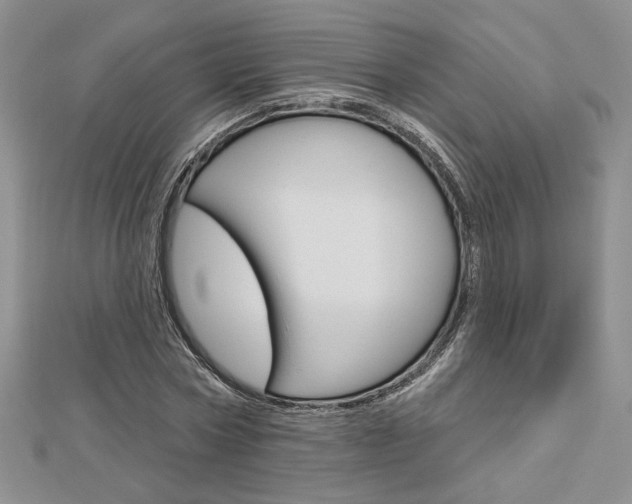X0000113060778200908280947