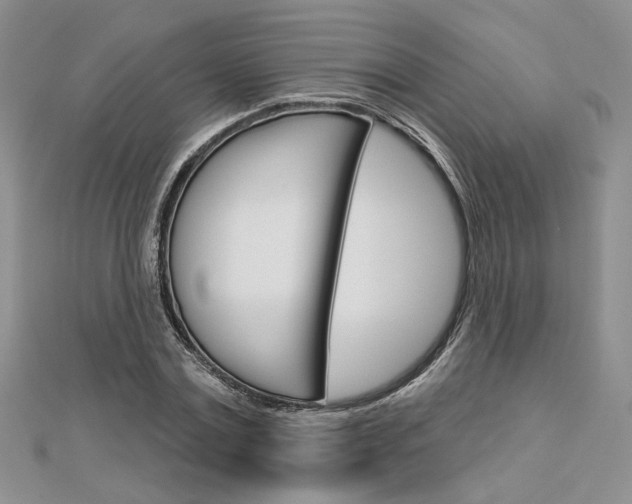 X0000113060779200908280947