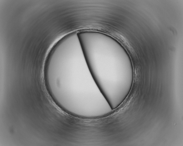 X0000113060780200908280946