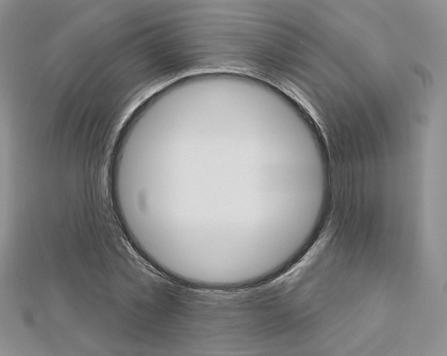X0000113060781200908280946