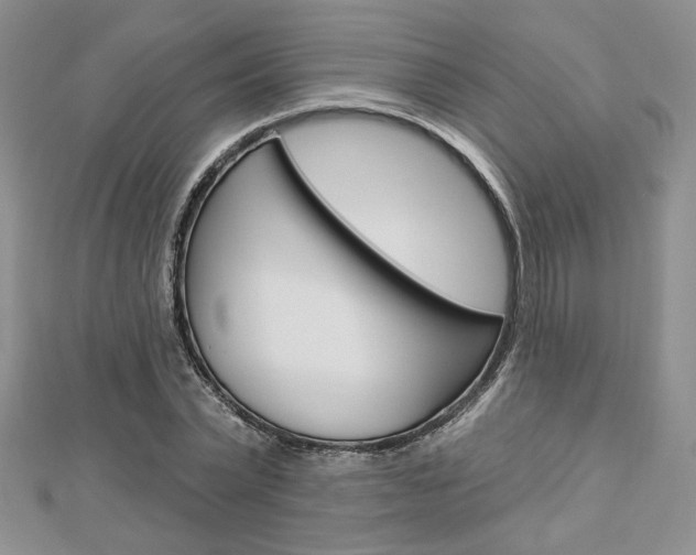 X0000113060783200908280946