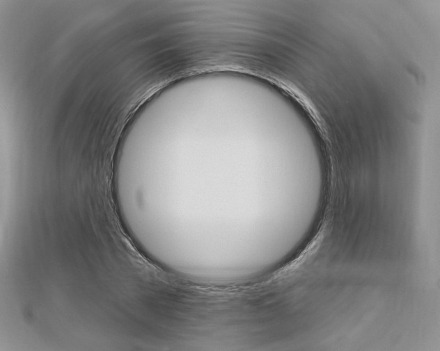 X0000113060785200908280946