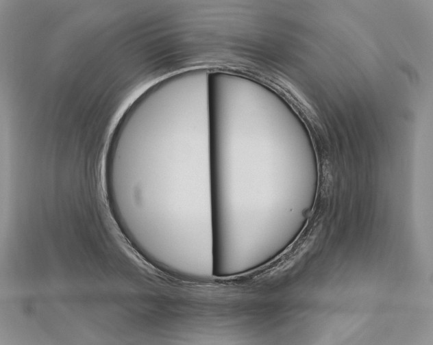 X0000113060788200908280946