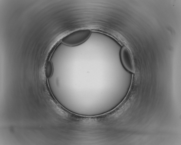 X0000113060789200908280946