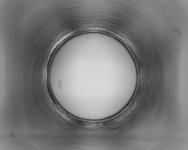 X0000113060790200908280946
