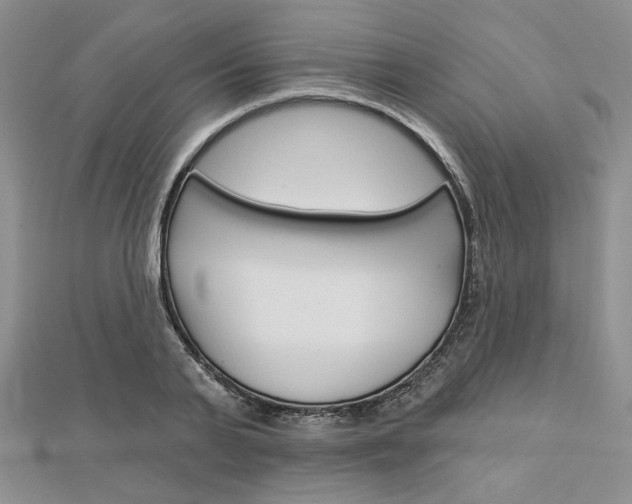 X0000113060791200908280946