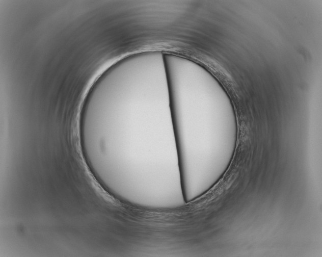 X0000113060792200908280946