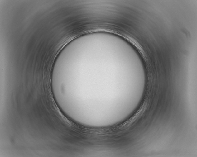 X0000113060793200908280946