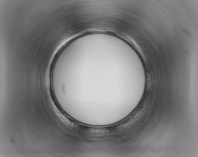 X0000113060795200908280946
