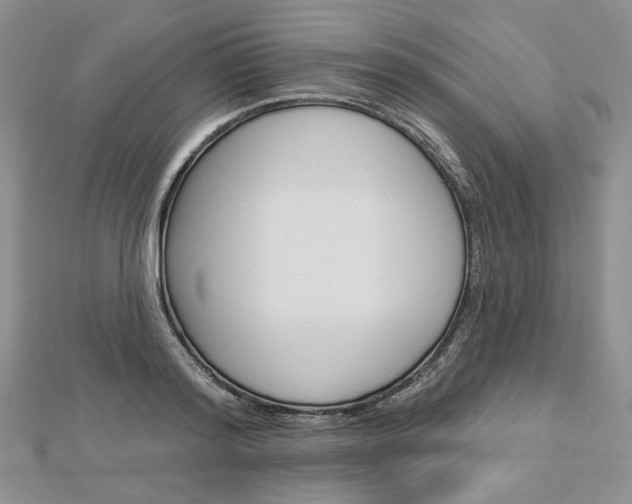 X0000113060796200908280946