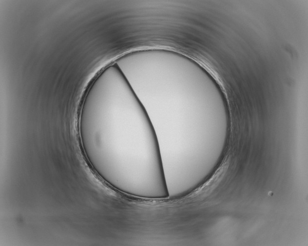 X0000113060797200908280946
