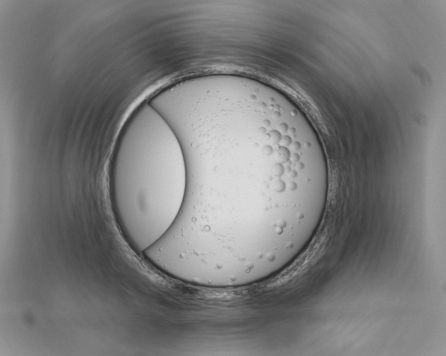 X0000113060798200908280946