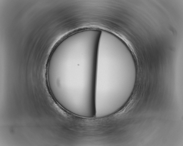 X0000113060799200908280946