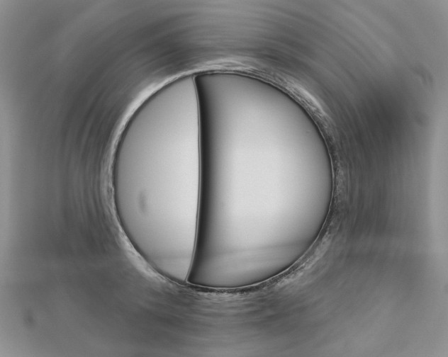 X0000113060800200908280946
