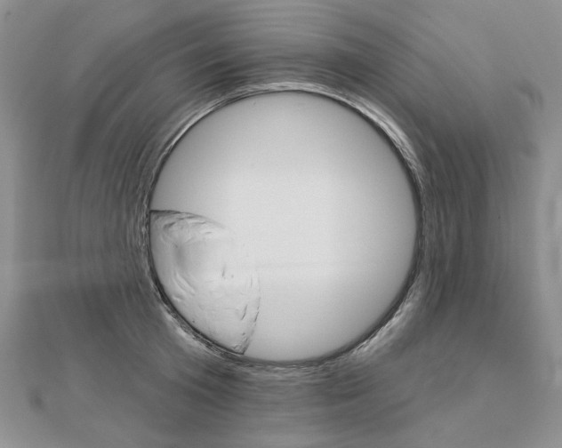 X0000113060801200908280946