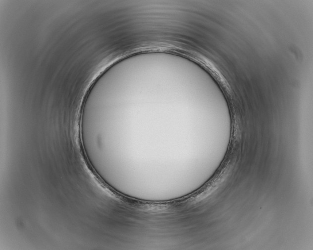 X0000113060802200908280946