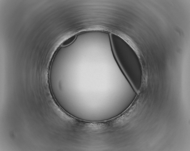 X0000113060805200908280946