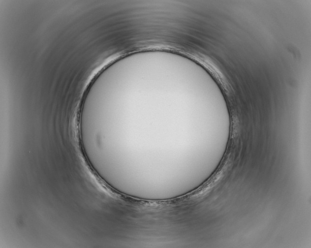X0000113060806200908280946