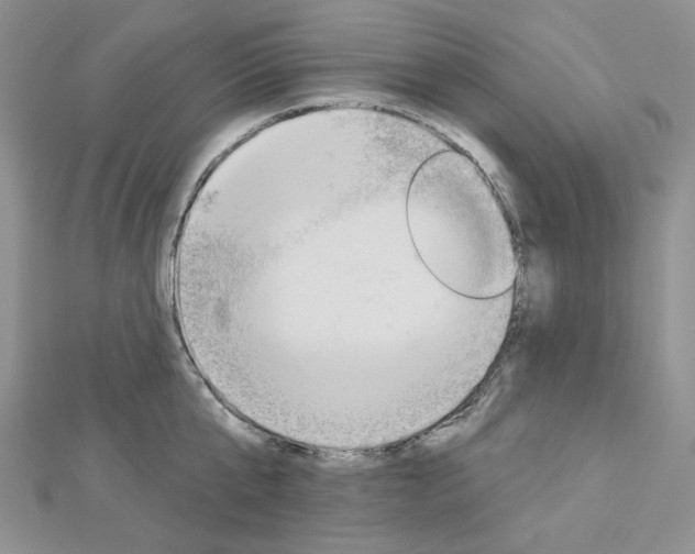 X0000113060807200908280946