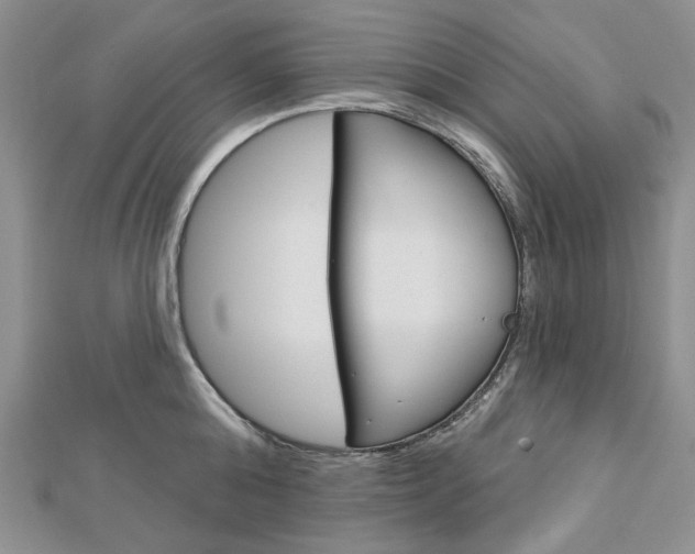X0000113060808200908280946