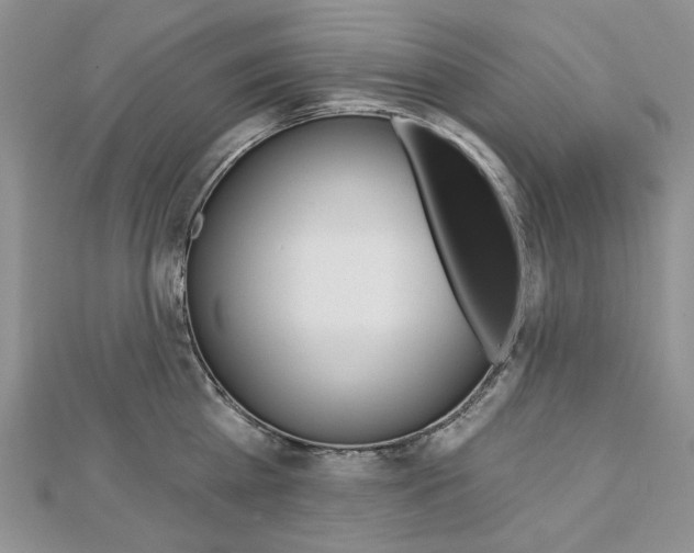 X0000113060809200908280946