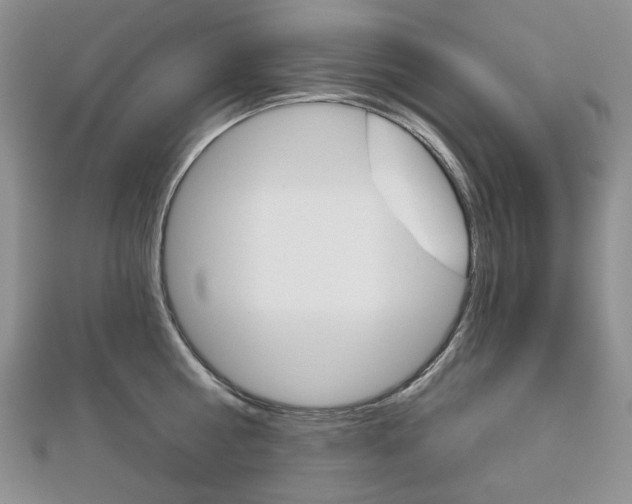 X0000113060810200908280946